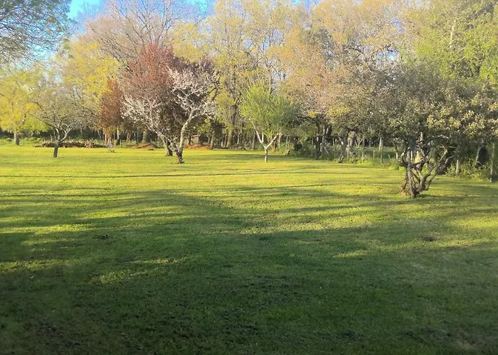 Le De L'olivier بيت للعطل Cartelegue